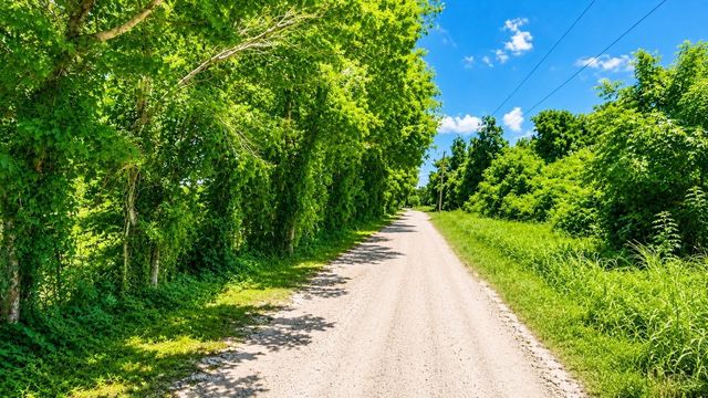 0 Pryor Road, Brookshire, TX 77423