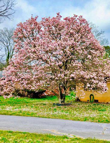 1102 Collins Circle, Chattanooga, TN 37411