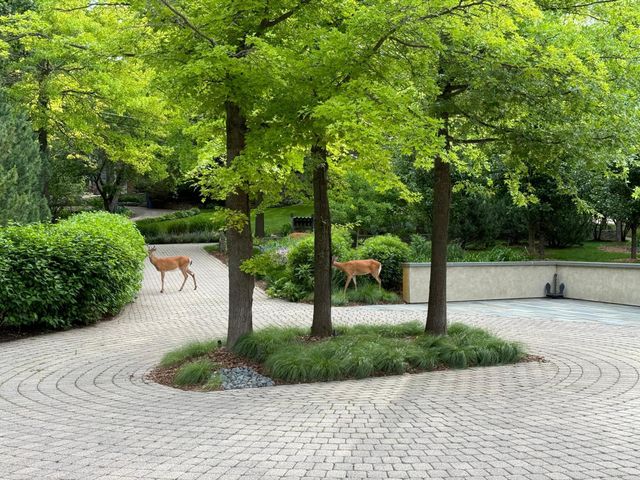 20545 Linden Road, Deephaven, MN 55331