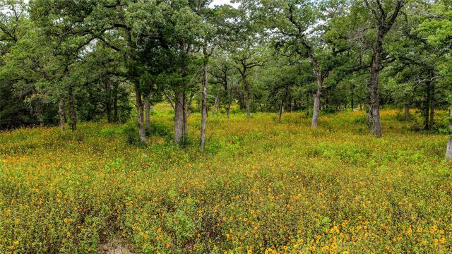 1908 County Road 305, Rockdale, TX 76567