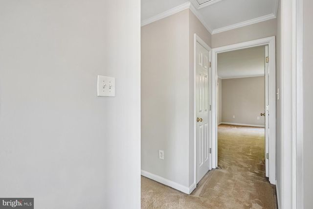 411 MALLARD DR, Greensboro, MD 21639