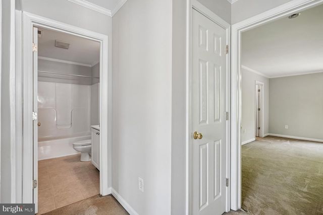 411 MALLARD DR, Greensboro, MD 21639