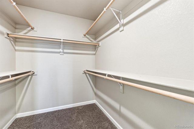 311 Shoveler Way, Johnstown, CO 80534