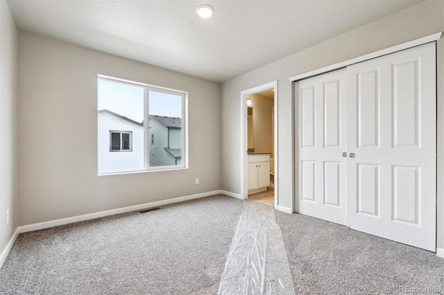 311 Shoveler Way, Johnstown, CO 80534