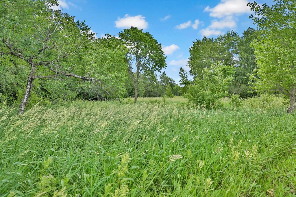 374XX-N40 Hemingway, North Branch, MN 55056 — photo 4