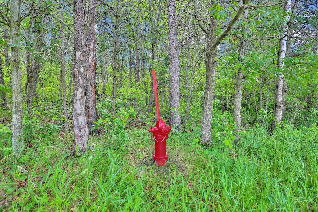 374XX-N40 Hemingway, North Branch, MN 55056 — photo 5