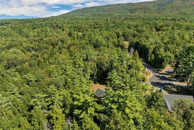 16 Buckingham Terrace, Moultonborough, NH 03254