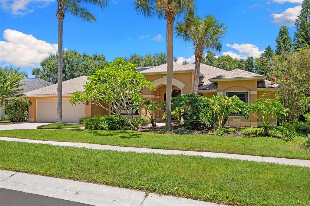 3275 COBBS DRIVE, Palm Harbor, FL 34684