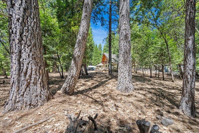 5695 Juarez Rd, Pollock Pines, CA 95726