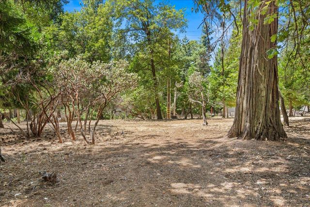 5695 Juarez Rd, Pollock Pines, CA 95726