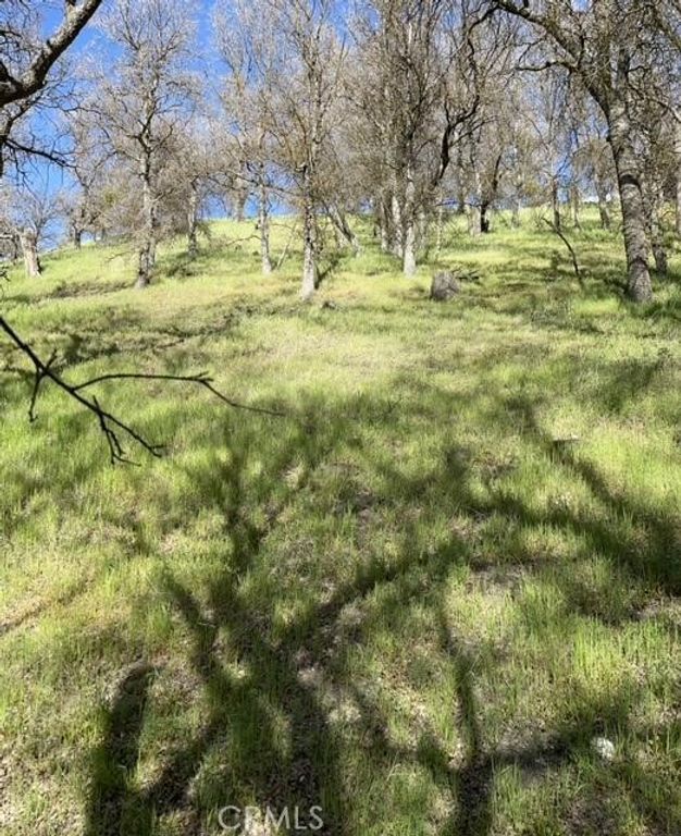 Image 6 of property listing at 22948 Rim, Tehachapi, CA 93561