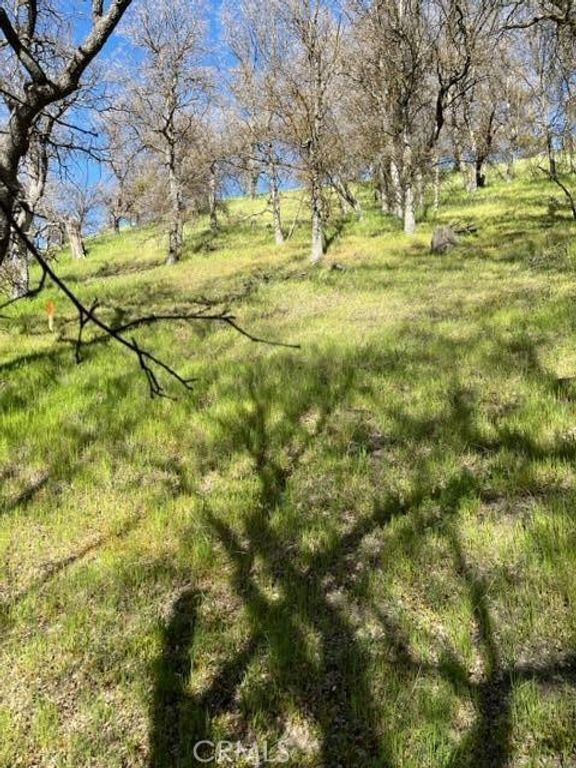 Image 7 of property listing at 22948 Rim, Tehachapi, CA 93561