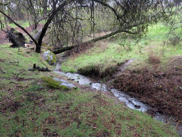 3461 Almosta Rd, Placerville, CA 95667