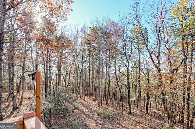 1556 Long Laurel Ridge Drive, Lakemont, GA 30552