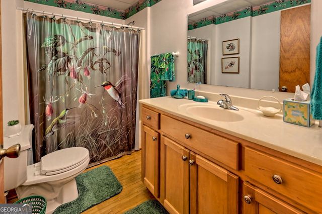 1556 Long Laurel Ridge Drive, Lakemont, GA 30552