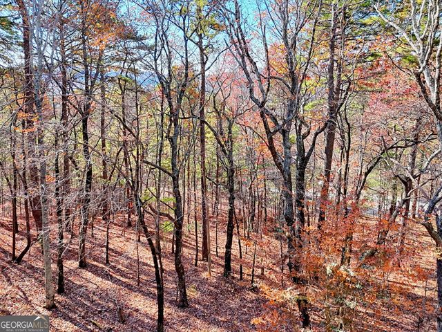 1556 Long Laurel Ridge Drive, Lakemont, GA 30552