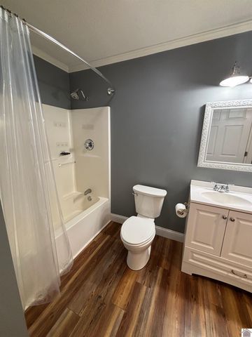 204 Charlotte St, Salem, KY 42078