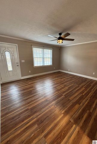 204 Charlotte St, Salem, KY 42078