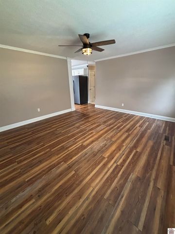 204 Charlotte St, Salem, KY 42078