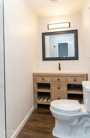 217 Apple Street, Seymour, TN 37865