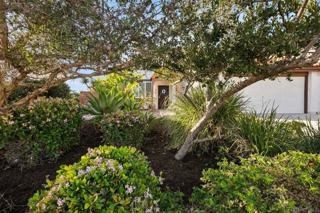 Image 56 of property listing at 6433 La Paloma St, Carlsbad, CA 92009
