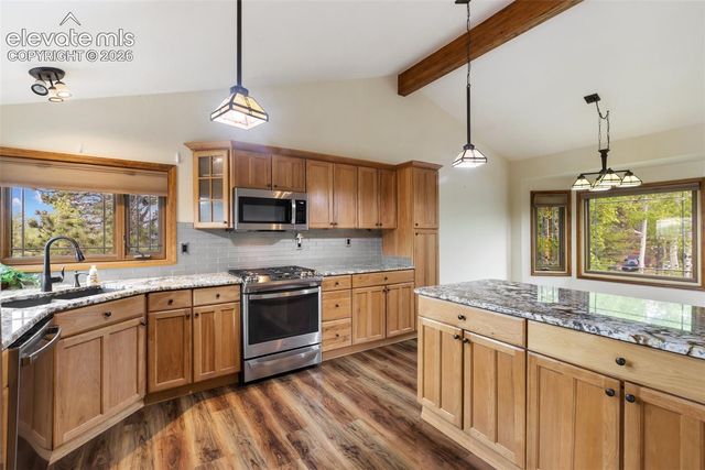 1231 Telemark Drive, Woodland Park, CO 80863
