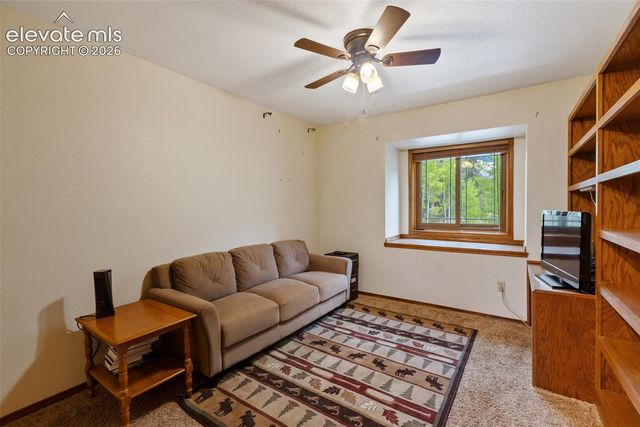 1231 Telemark Drive, Woodland Park, CO 80863