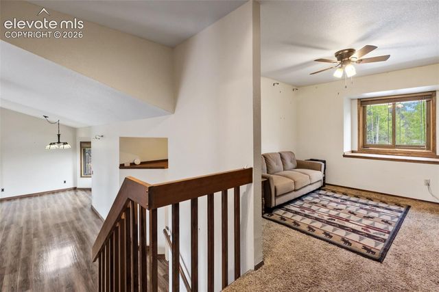 1231 Telemark Drive, Woodland Park, CO 80863