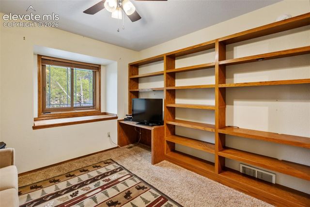 1231 Telemark Drive, Woodland Park, CO 80863