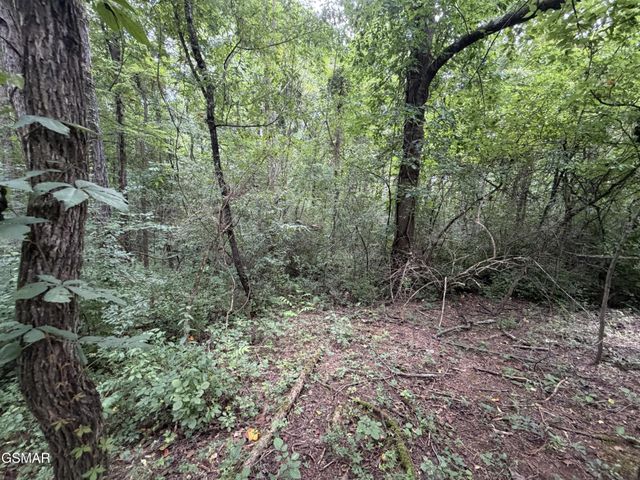 15 Sunrise Boulevard, Kodak, TN 37764