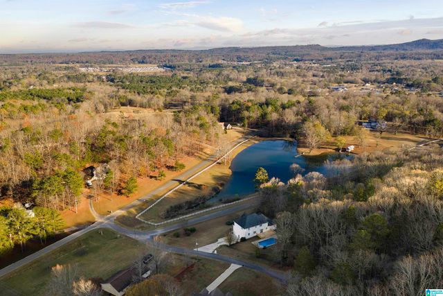 10 ANDERSON MTN DRIVE, Odenville, AL 35120