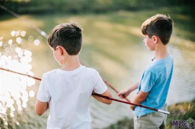 13715 Sweet Cherry Dr, Baton Rouge, LA 70810