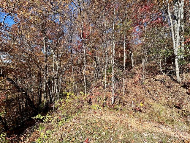 0 Grizzly Ridge 57, Bryson City, NC 28713