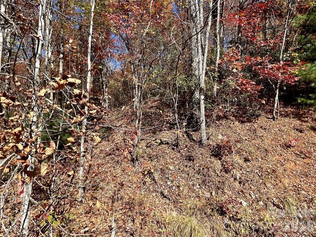 0 Grizzly Ridge 57, Bryson City, NC 28713