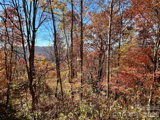 0 Grizzly Ridge 57, Bryson City, NC 28713