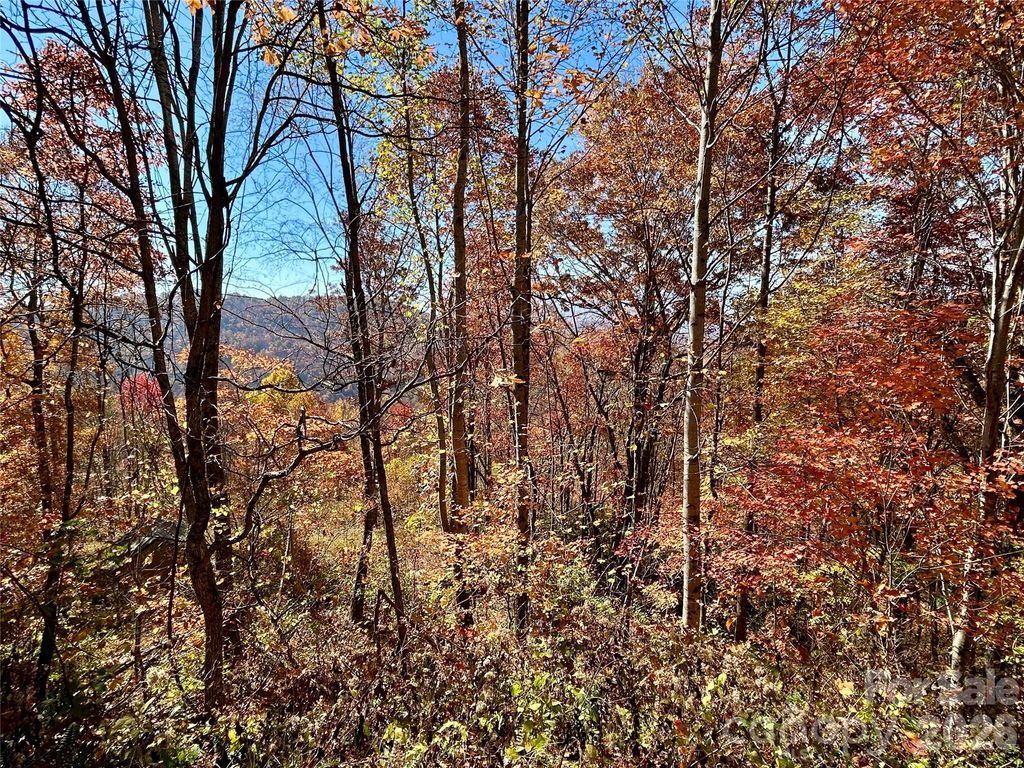0 Grizzly Ridge 57, Bryson City, NC 28713