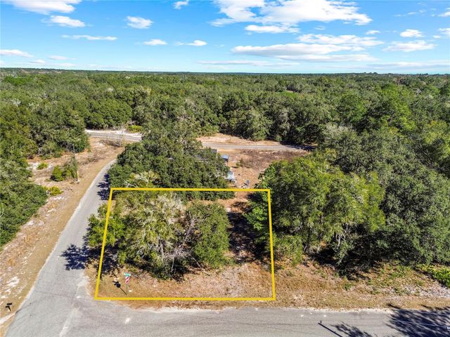 0 GUAVA TERRACE PLACE & BAY PLACE RUN, Ocklawaha, FL 32179