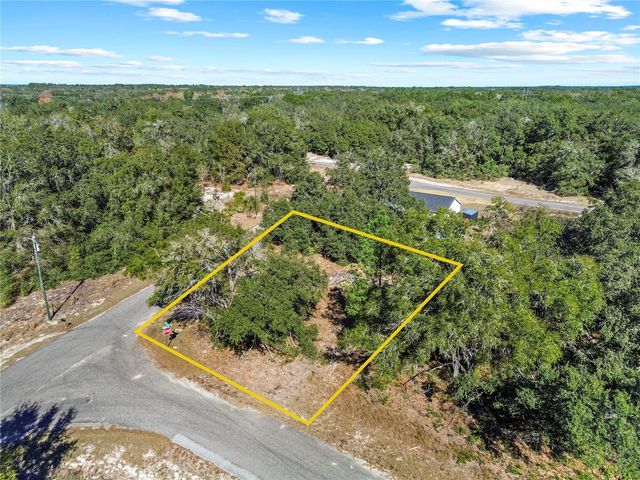 0 GUAVA TERRACE PLACE & BAY PLACE RUN, Ocklawaha, FL 32179