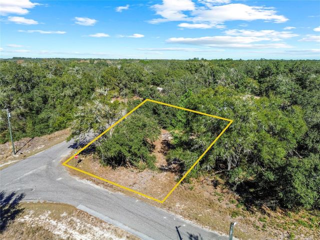 0 GUAVA TERRACE PLACE & BAY PLACE RUN, Ocklawaha, FL 32179