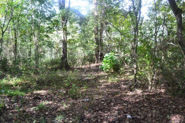 121 Park Avenue, Olanta, SC 29114