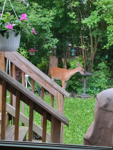 406 21st Street, Jackson, MI 49203