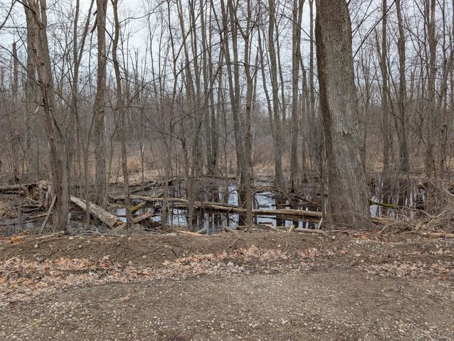 1610 Mull Road, Manchester Twp, MI 49287