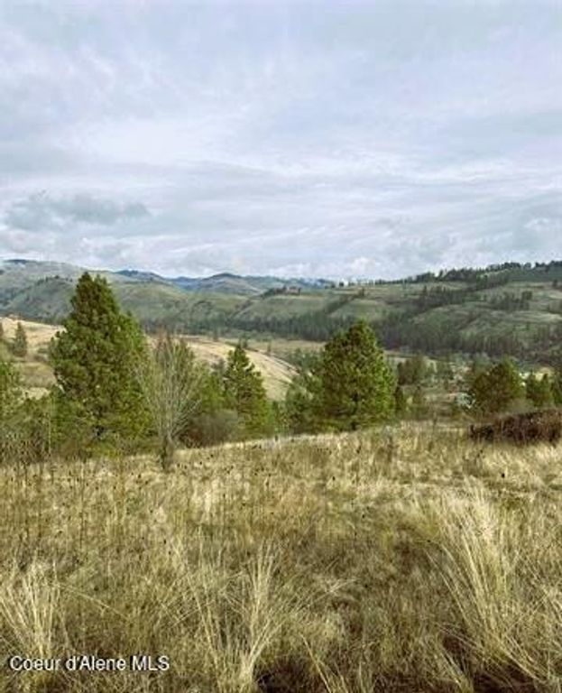 TBD Canyon Dr, Kooskia, ID 83539 photo 11