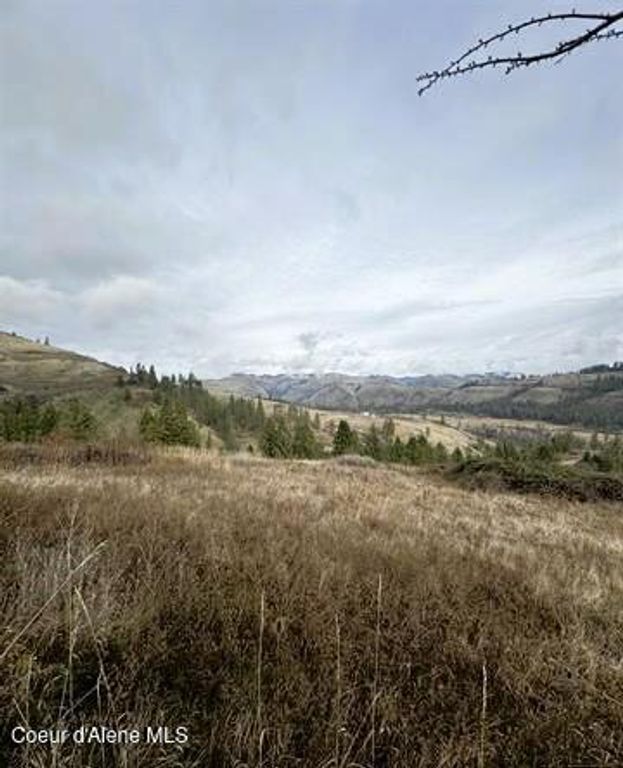 TBD Canyon Dr, Kooskia, ID 83539 photo 15