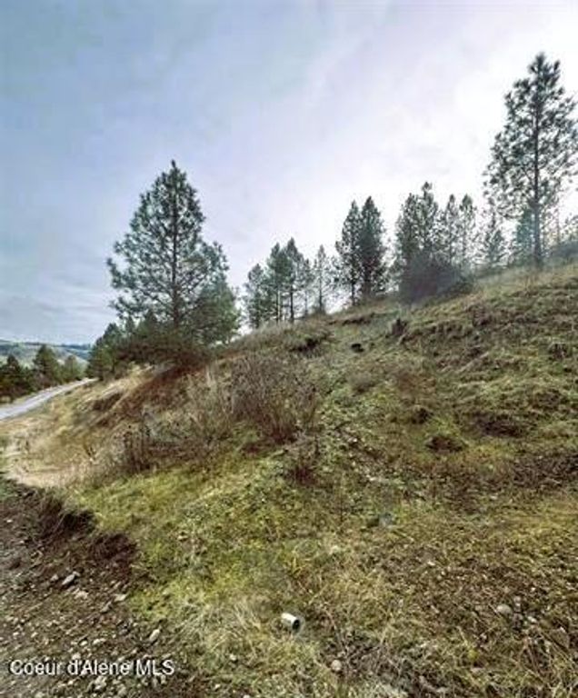 TBD Canyon Dr, Kooskia, ID 83539 photo 16