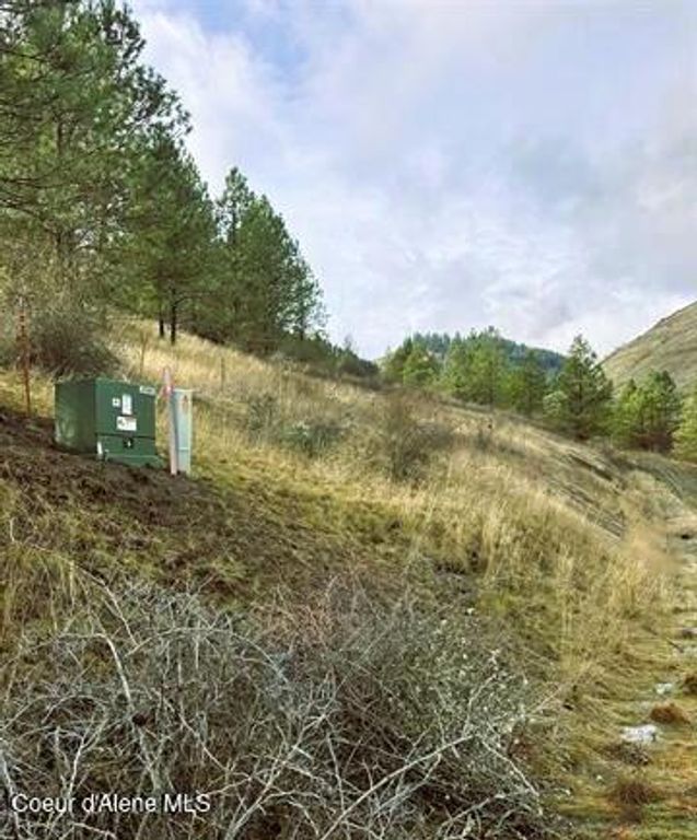 TBD Canyon Dr, Kooskia, ID 83539 photo 19