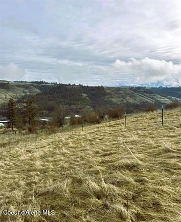 TBD Canyon Dr, Kooskia, ID 83539 photo 21