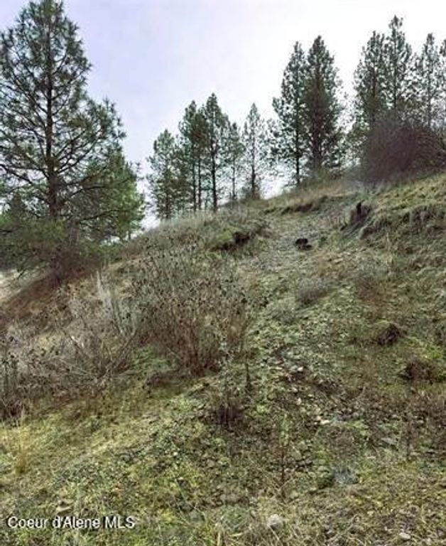 TBD Canyon Dr, Kooskia, ID 83539 photo 22