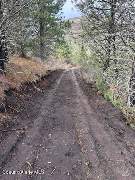 TBD Canyon Dr, Kooskia, ID 83539 photo 5
