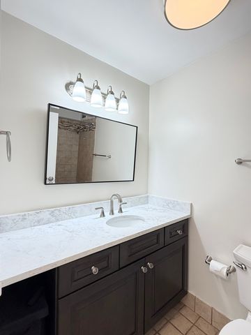 3930 N Pine Grove Avenue 1708, Chicago, IL 60613